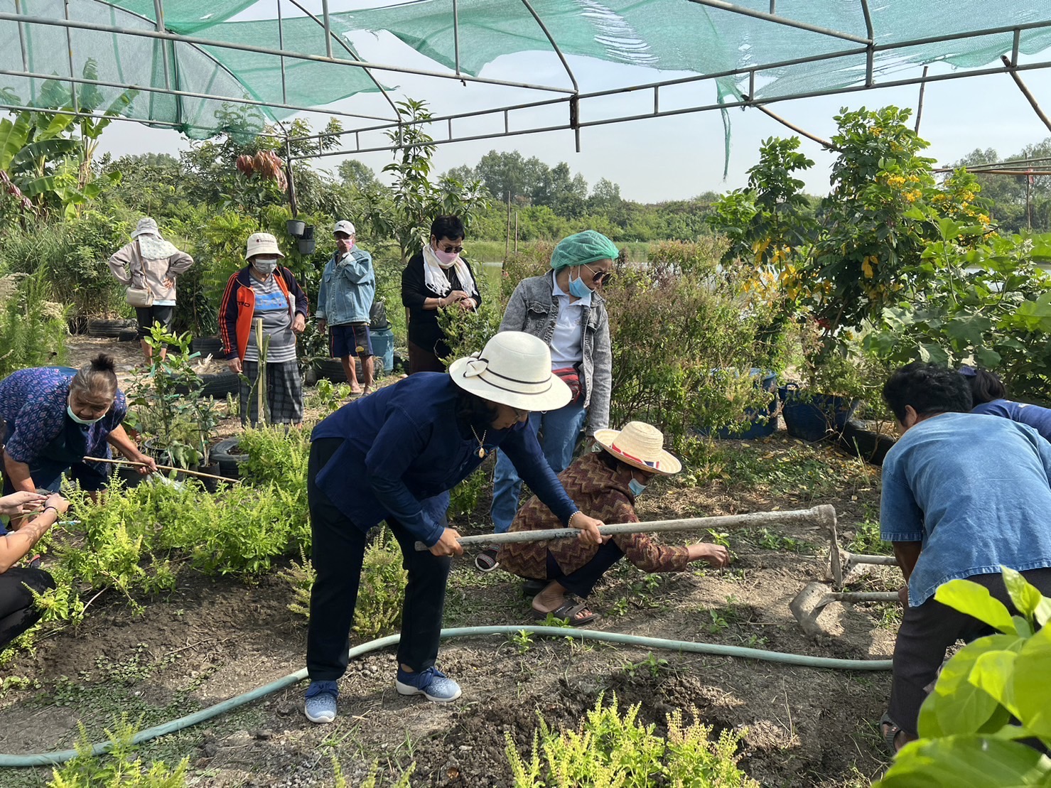 ????พช.สมุทรสาคร เอามื้อสามัคคี สร้างความมั่นคงทางอาหาร “ศูนย์การเรียนรู้โคกหนองนาโมเดล ????  วันที่ 30 มกราคม 2566 ภายใต้การกำกับดูแลของนายณรงค์รักร้อย ผู้ว่าราชการจังหวัดสมุทรสาคร นางศลิษา ม่วงใหม่ พัฒนาการจังหวัดสมุทรสาคร มอบหมาย นางณัฐภรณ์ ก่อนกำเนิด พัฒนาการอำเภอเมืองสมุทรสาคร พร้อมเจ้าหน้าที่พัฒนาชุมชนจังหวัดและอำเภอ ผู้นำท้องถิ่นและผู้นำท้องที่ คณะกรรมการหมู่บ้าน สมาชิกกองทุนพัฒนาบทบาทสตรี ประชาชน ดำเนินกิจกรรมเอามื้อสามัคคี ปลูกผักสวนครัว เพื่อเป็นการสร้างความมั่นคงทางอาหาร และแบ่งปันผลผลิตสู่ชุมชน เป็นการลดรายจ่ายในครัวเรือน ณ พื้นที่ “ศูนย์การเรียนรู้โคกหนองนาโมเดล”  หมู่ 2 ตำบลโคกขาม อำเภอเมืองสมุทรสาคร จังหวัดสมุทรสาคร  ? ภาพ/ข่าว…อำเภอเมืองสมุทรสาคร