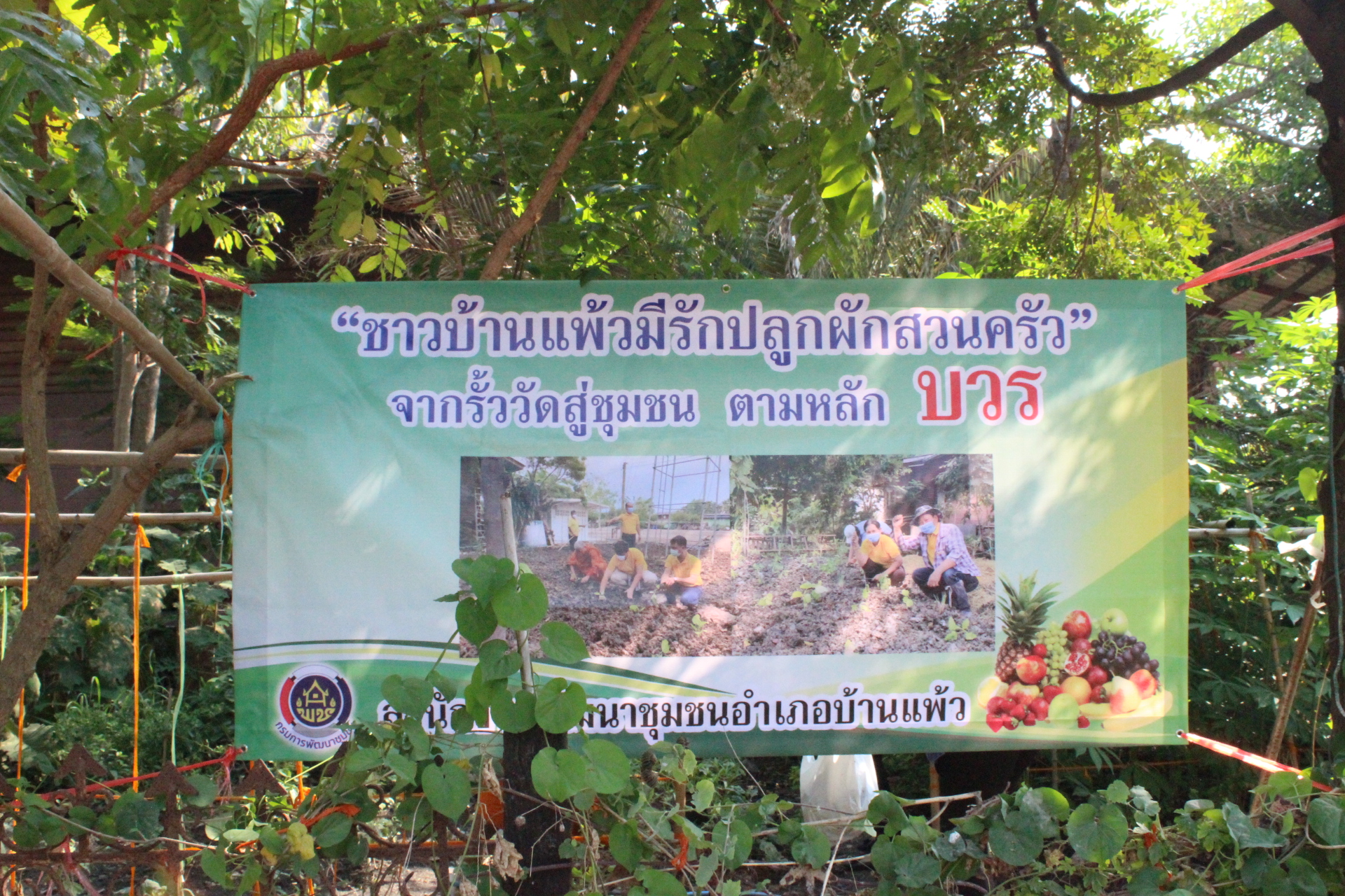 ? ??? พช.สมุทรสาคร สานพลังภาคีเครือข่าย “บวร” เดินหน้าจัดกิจกรรม “เอามื้อสามัคคี พื้นที่ว่างสร้างอาหาร”? ??? วันที่ 28 กุมภาพันธ์ 2566 เวลา 09.00 น. ภายใต้การกำกับดูแลของนายณรงค์ รักร้อย ผู้ว่าราชการจังหวัดสมุทรสาคร นางศลิษา ม่วงใหม่ พัฒนาการจังหวัดสมุทรสาคร พร้อมด้วย นางสาวเมธิดา หิรัญบูรณะ พัฒนาการอำเภอบ้านแพ้ว และเจ้าหน้าที่พัฒนาชุมชน ดำเนินกิจกรรมเอามื้อสามัคคีร่วมกันปลูกผักสวนครัวในบริเวณวัดประทุมทองรัตนาราม ประกอบด้วย ต้นมัลเบอร์รี่ ต้นขี้เหล็ก ต้นแค มะเขือ พริกขี้หนูสวน พริกกะเหรี่ยง มะละกอ และชะอม ต่อยอดกิจกรรมพื้นที่ว่างสร้างอาหาร พร้อมทั้งถวายเมล็ดพันธุ์ผักสวนครัวแด่เจ้าอาวาสวัดประทุมทองรัตนาราม  เพื่อเป็นการน้อมนำแนวพระราชดำริของสมเด็จพระกนิษฐาธิราชเจ้า กรมสมเด็จพระเทพรัตนราชสุดาฯ สยามบรมราชกุมารี สร้างความมั่นคงทางอาหาร สู่ปฏิบัติการปลูกผักสวนครัวเพื่อสร้างความมั่นคงทางอาหาร ประจำปีงบประมาณ พ.ศ. 2566 โดยได้รับความร่วมมือจากภาคีเครือข่ายการพัฒนาในพื้นที่ประกอบด้วย ผู้นำชุมชน รวมถึงประชาชนในพื้นที่ร่วมกิจกรรม ณ วัดประทุมทองรัตนาราม หมู่ที่ 2 ตำบลหนองสองห้อง อำเภอบ้านแพ้ว จังหวัดสมุทรสาคร