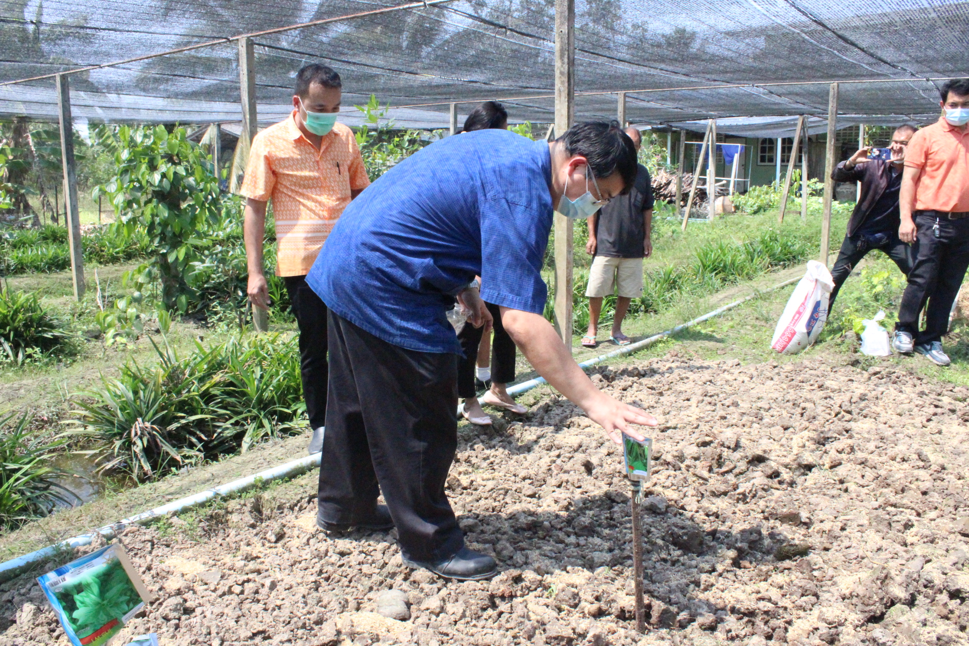 ? ??? พช.สมุทรสาคร สานพลังภาคีเครือข่ายเดินหน้าจัดกิจกรรม “เอามื้อสามัคคี พื้นที่ว่างสร้างอาหาร” และปลูกฝัง “ทักษะวิถีชีวิตใหม่ เยาวชนไทยสร้างอาหารเป็น”???? วันที่ 28 กุมภาพันธ์ 2566 เวลา 13.00 น. ภายใต้การกำกับดูแลของนายณรงค์ รักร้อย ผู้ว่าราชการจังหวัดสมุทรสาคร นางศลิษา ม่วงใหม่ พัฒนาการจังหวัดสมุทรสาคร พร้อมด้วย นายอรรถพงษ์  สงวนเดือน พัฒนาการอำเภอกระทุ่มแบน และเจ้าหน้าที่พัฒนาชุมชน ดำเนินกิจกรรมเอามื้อสามัคคีร่วมกันปรับปรุงพื้นที่ ทำปุ๋ย ปลูกผักสวนครัวในบริเวณแปลงเกษตรของโรงเรียนบ้านท้องคุ้ง ประกอบด้วย ต้นโหระพา คะน้า ผักชี กะเพรา พริกขี้หนู แมงลัก และกวางตุ้ง ต่อยอดกิจกรรมพื้นที่ว่างสร้างอาหาร พร้อมทั้งมอบเมล็ดพันธุ์ผักสวนครัวให้แก่ นายประศาสน์ เยี่ยมสวัสดิ์ ผู้ใหญ่บ้านหมู่ 6 เพื่อเป็นการน้อมนำแนวพระราชดำริของสมเด็จพระกนิษฐาธิราชเจ้า กรมสมเด็จพระเทพรัตนราชสุดาฯ สยามบรมราชกุมารี เพื่อสร้างความมั่นคงทางอาหาร ประจำปีงบประมาณ พ.ศ. 2566 โดยได้รับความร่วมมือจากภาคีเครือข่ายการพัฒนาในพื้นที่ประกอบด้วย ผู้นำชุมชน ครูและนักเรียนโรงเรียนบ้านท้องคุ้ง ร่วมกิจกรรมซึ่งเป็นการปลูกฝังให้มี “ทักษะวิถีชีวิตใหม่ เยาวชนไทยสร้างอาหารเป็น” พร้อมเติบโตเป็นผู้ใหญ่ที่มีคุณภาพต่อไปในอนาคต ณ แปลงเกษตรของโรงเรียนบ้านท้องคุ้ง หมู่ 6 ตำบลท่าเสา อำเภอกระทุ่มแบน จังหวัดสมุทรสาคร