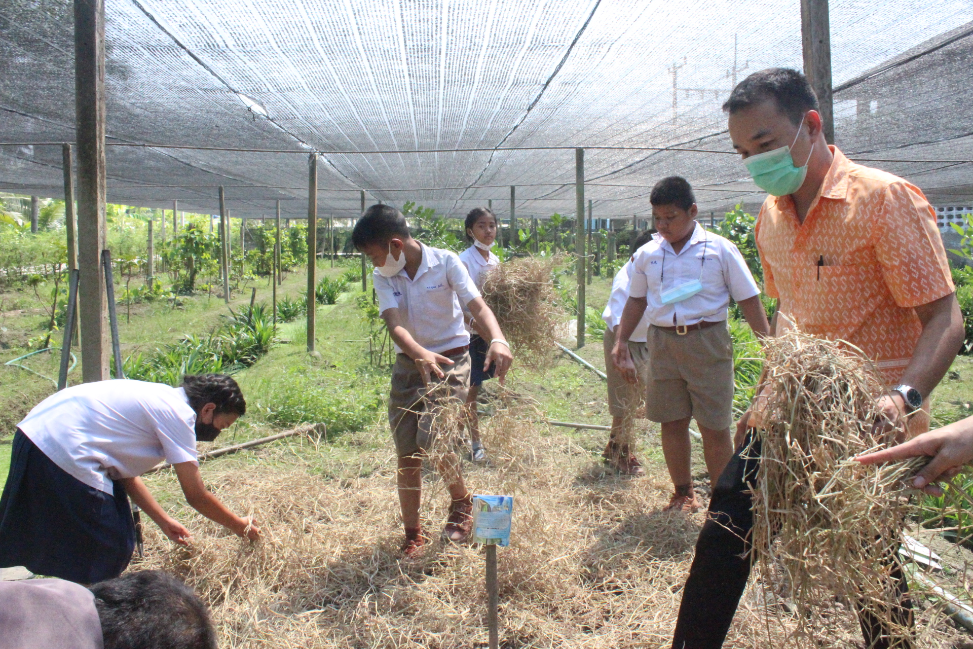 ? ??? พช.สมุทรสาคร สานพลังภาคีเครือข่ายเดินหน้าจัดกิจกรรม “เอามื้อสามัคคี พื้นที่ว่างสร้างอาหาร” และปลูกฝัง “ทักษะวิถีชีวิตใหม่ เยาวชนไทยสร้างอาหารเป็น”???? วันที่ 28 กุมภาพันธ์ 2566 เวลา 13.00 น. ภายใต้การกำกับดูแลของนายณรงค์ รักร้อย ผู้ว่าราชการจังหวัดสมุทรสาคร นางศลิษา ม่วงใหม่ พัฒนาการจังหวัดสมุทรสาคร พร้อมด้วย นายอรรถพงษ์  สงวนเดือน พัฒนาการอำเภอกระทุ่มแบน และเจ้าหน้าที่พัฒนาชุมชน ดำเนินกิจกรรมเอามื้อสามัคคีร่วมกันปรับปรุงพื้นที่ ทำปุ๋ย ปลูกผักสวนครัวในบริเวณแปลงเกษตรของโรงเรียนบ้านท้องคุ้ง ประกอบด้วย ต้นโหระพา คะน้า ผักชี กะเพรา พริกขี้หนู แมงลัก และกวางตุ้ง ต่อยอดกิจกรรมพื้นที่ว่างสร้างอาหาร พร้อมทั้งมอบเมล็ดพันธุ์ผักสวนครัวให้แก่ นายประศาสน์ เยี่ยมสวัสดิ์ ผู้ใหญ่บ้านหมู่ 6 เพื่อเป็นการน้อมนำแนวพระราชดำริของสมเด็จพระกนิษฐาธิราชเจ้า กรมสมเด็จพระเทพรัตนราชสุดาฯ สยามบรมราชกุมารี เพื่อสร้างความมั่นคงทางอาหาร ประจำปีงบประมาณ พ.ศ. 2566 โดยได้รับความร่วมมือจากภาคีเครือข่ายการพัฒนาในพื้นที่ประกอบด้วย ผู้นำชุมชน ครูและนักเรียนโรงเรียนบ้านท้องคุ้ง ร่วมกิจกรรมซึ่งเป็นการปลูกฝังให้มี “ทักษะวิถีชีวิตใหม่ เยาวชนไทยสร้างอาหารเป็น” พร้อมเติบโตเป็นผู้ใหญ่ที่มีคุณภาพต่อไปในอนาคต ณ แปลงเกษตรของโรงเรียนบ้านท้องคุ้ง หมู่ 6 ตำบลท่าเสา อำเภอกระทุ่มแบน จังหวัดสมุทรสาคร