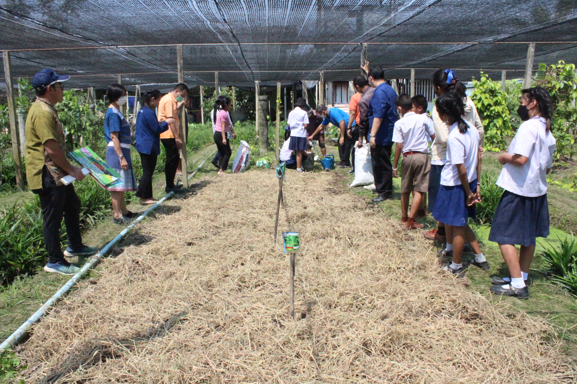 ? ??? พช.สมุทรสาคร สานพลังภาคีเครือข่ายเดินหน้าจัดกิจกรรม “เอามื้อสามัคคี พื้นที่ว่างสร้างอาหาร” และปลูกฝัง “ทักษะวิถีชีวิตใหม่ เยาวชนไทยสร้างอาหารเป็น”???? วันที่ 28 กุมภาพันธ์ 2566 เวลา 13.00 น. ภายใต้การกำกับดูแลของนายณรงค์ รักร้อย ผู้ว่าราชการจังหวัดสมุทรสาคร นางศลิษา ม่วงใหม่ พัฒนาการจังหวัดสมุทรสาคร พร้อมด้วย นายอรรถพงษ์  สงวนเดือน พัฒนาการอำเภอกระทุ่มแบน และเจ้าหน้าที่พัฒนาชุมชน ดำเนินกิจกรรมเอามื้อสามัคคีร่วมกันปรับปรุงพื้นที่ ทำปุ๋ย ปลูกผักสวนครัวในบริเวณแปลงเกษตรของโรงเรียนบ้านท้องคุ้ง ประกอบด้วย ต้นโหระพา คะน้า ผักชี กะเพรา พริกขี้หนู แมงลัก และกวางตุ้ง ต่อยอดกิจกรรมพื้นที่ว่างสร้างอาหาร พร้อมทั้งมอบเมล็ดพันธุ์ผักสวนครัวให้แก่ นายประศาสน์ เยี่ยมสวัสดิ์ ผู้ใหญ่บ้านหมู่ 6 เพื่อเป็นการน้อมนำแนวพระราชดำริของสมเด็จพระกนิษฐาธิราชเจ้า กรมสมเด็จพระเทพรัตนราชสุดาฯ สยามบรมราชกุมารี เพื่อสร้างความมั่นคงทางอาหาร ประจำปีงบประมาณ พ.ศ. 2566 โดยได้รับความร่วมมือจากภาคีเครือข่ายการพัฒนาในพื้นที่ประกอบด้วย ผู้นำชุมชน ครูและนักเรียนโรงเรียนบ้านท้องคุ้ง ร่วมกิจกรรมซึ่งเป็นการปลูกฝังให้มี “ทักษะวิถีชีวิตใหม่ เยาวชนไทยสร้างอาหารเป็น” พร้อมเติบโตเป็นผู้ใหญ่ที่มีคุณภาพต่อไปในอนาคต ณ แปลงเกษตรของโรงเรียนบ้านท้องคุ้ง หมู่ 6 ตำบลท่าเสา อำเภอกระทุ่มแบน จังหวัดสมุทรสาคร