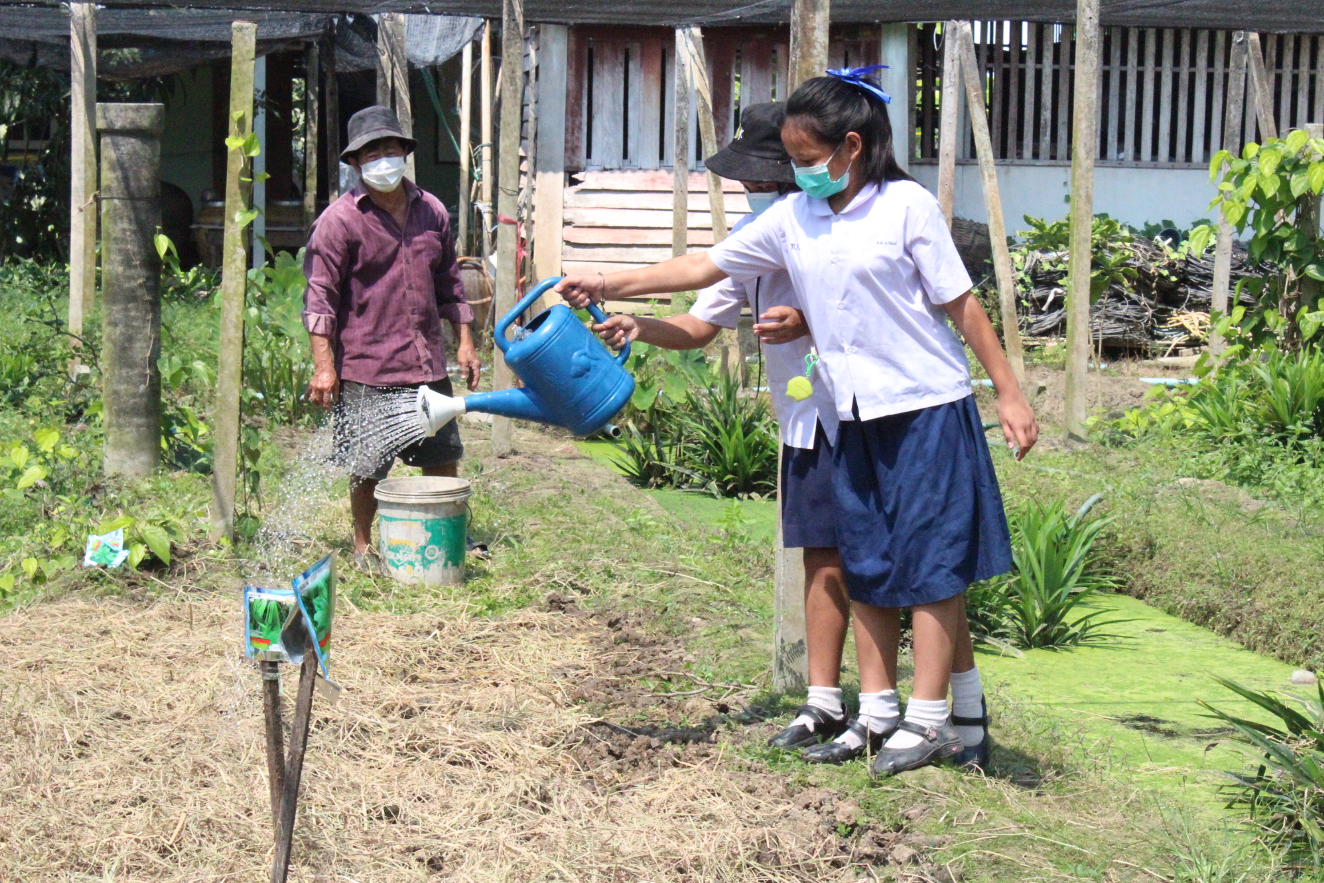 ? ??? พช.สมุทรสาคร สานพลังภาคีเครือข่ายเดินหน้าจัดกิจกรรม “เอามื้อสามัคคี พื้นที่ว่างสร้างอาหาร” และปลูกฝัง “ทักษะวิถีชีวิตใหม่ เยาวชนไทยสร้างอาหารเป็น”???? วันที่ 28 กุมภาพันธ์ 2566 เวลา 13.00 น. ภายใต้การกำกับดูแลของนายณรงค์ รักร้อย ผู้ว่าราชการจังหวัดสมุทรสาคร นางศลิษา ม่วงใหม่ พัฒนาการจังหวัดสมุทรสาคร พร้อมด้วย นายอรรถพงษ์  สงวนเดือน พัฒนาการอำเภอกระทุ่มแบน และเจ้าหน้าที่พัฒนาชุมชน ดำเนินกิจกรรมเอามื้อสามัคคีร่วมกันปรับปรุงพื้นที่ ทำปุ๋ย ปลูกผักสวนครัวในบริเวณแปลงเกษตรของโรงเรียนบ้านท้องคุ้ง ประกอบด้วย ต้นโหระพา คะน้า ผักชี กะเพรา พริกขี้หนู แมงลัก และกวางตุ้ง ต่อยอดกิจกรรมพื้นที่ว่างสร้างอาหาร พร้อมทั้งมอบเมล็ดพันธุ์ผักสวนครัวให้แก่ นายประศาสน์ เยี่ยมสวัสดิ์ ผู้ใหญ่บ้านหมู่ 6 เพื่อเป็นการน้อมนำแนวพระราชดำริของสมเด็จพระกนิษฐาธิราชเจ้า กรมสมเด็จพระเทพรัตนราชสุดาฯ สยามบรมราชกุมารี เพื่อสร้างความมั่นคงทางอาหาร ประจำปีงบประมาณ พ.ศ. 2566 โดยได้รับความร่วมมือจากภาคีเครือข่ายการพัฒนาในพื้นที่ประกอบด้วย ผู้นำชุมชน ครูและนักเรียนโรงเรียนบ้านท้องคุ้ง ร่วมกิจกรรมซึ่งเป็นการปลูกฝังให้มี “ทักษะวิถีชีวิตใหม่ เยาวชนไทยสร้างอาหารเป็น” พร้อมเติบโตเป็นผู้ใหญ่ที่มีคุณภาพต่อไปในอนาคต ณ แปลงเกษตรของโรงเรียนบ้านท้องคุ้ง หมู่ 6 ตำบลท่าเสา อำเภอกระทุ่มแบน จังหวัดสมุทรสาคร