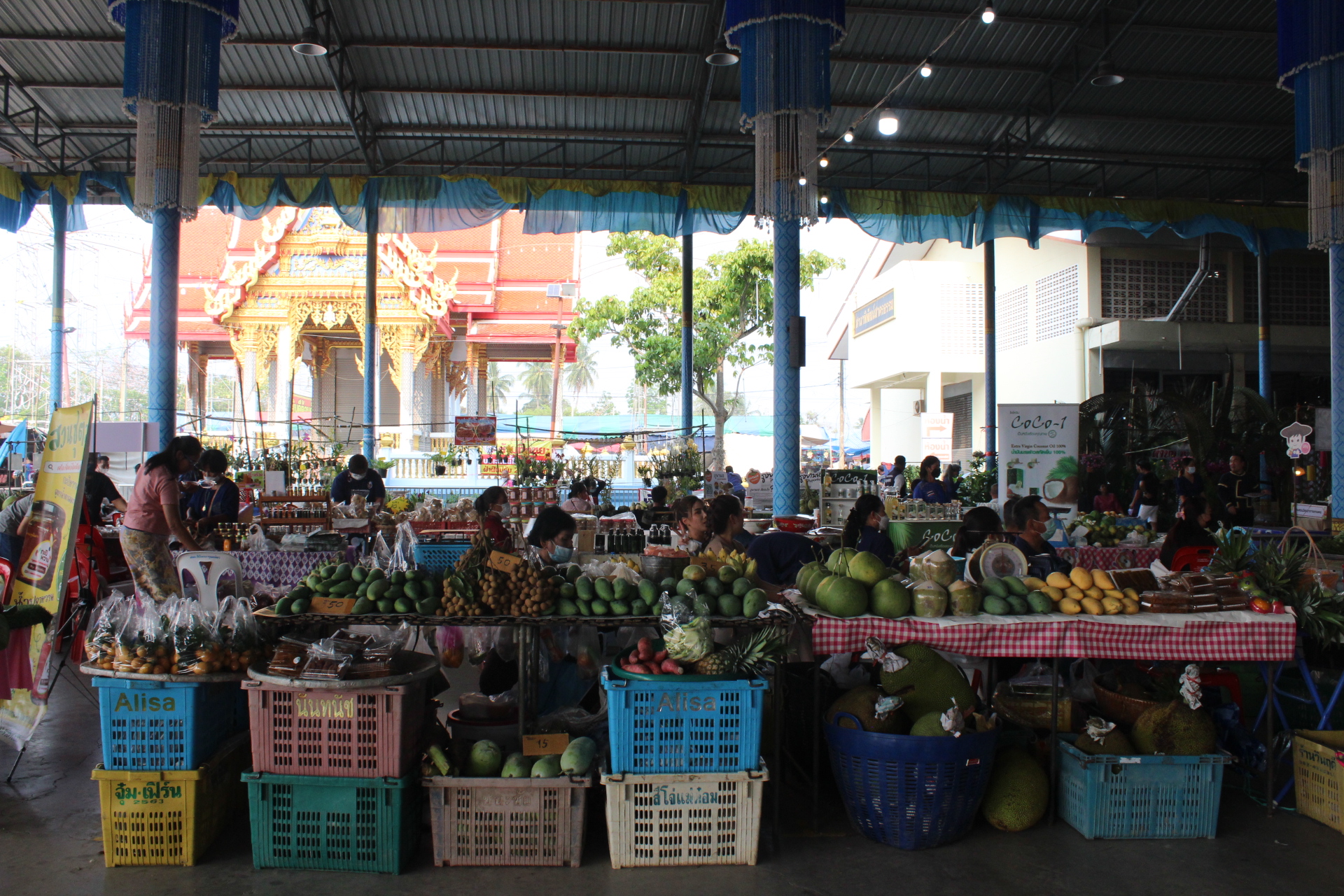 ???? พช.สมุทรสาคร ร่วมพิธีเปิดงานเกษตรและของดีอำเภอบ้านแพ้ว ประจำปี พ.ศ. 2566????  วันที่ 10 มีนาคม เวลา 15.00 น. ณ บริเวณลานจัดงานเกษตร ศาลาสบายใจ วัดหลักสี่ราษฎร์สโมสร นายณรงค์ รักร้อย ผู้ว่าราชการจังหวัดสมุทรสาคร มอบหมายให้ นายอาวุธ วิเชียรฉาย รองผู้ว่าราชการจังหวัดสมุทรสาคร เป็นประธานในพิธีเปิดงานเกษตรและของดีอำเภอบ้านแพ้ว ประจำปี พ.ศ. 2566 โดย นางศลิษา ม่วงใหม่ พัฒนาการจังหวัดสมุทรสาคร พร้อมด้วย  นางสาวเมธิดา หิรัญบูรณะ พัฒนาการอำเภอบ้านแพ้ว เจ้าหน้าพัฒนาชุมชนจังหวัด เจ้าหน้าที่พัฒนาชุมชนอำเภอ หัวหน้าส่วนราชการ หัวหน้าหน่วยงานรัฐวิสาหกิจ ผู้บริหารสถานศึกษา และสมาชิกสภาองกรค์ปกครองส่วนท้องถิ่น ข้าราชการ พนักงาน กำนัน ผู้ใหญ่บ้าน ผู้นำกลุ่ม/องค์กร ประชาชน และแขกผู้มีเกียรติ เข้าร่วมพิธีเปิดฯ  สำหรับ การจัดงานเกษตรและของดีอำเภอบ้านแพ้วในครั้งนี้เพื่อเป็นการเผยแพร่ชื่อเสียงของอำเภอบ้านแพ้ว และเพื่อเป็นการแสดงศักยภาพของอำเภอให้รู้จักแก่ประชาชนทั่วไป โดย กิจกรรมภายในงาน ประกอบด้วย 1. ชมการแสดง 2 ชุด ได้แก่ 1) รำขวัญข้าว 2) รัดข้ามคลอง 2. มอบประกาศนียบัตรเชิดชุเกียรติดีเด่นประจำตำบล 12 คน  3. เกษตรกรดีเด่นรับพระหลวงพ่อโต จากพระมงคลพัฒนาภรณ์ รองเจ้าคณะจังหวัดสมุทรสาคร 4. กดปุ่มเครื่องควั่นมะพร้าว เพื่อเปิดงานเกษตรของดีอำเภอบ้านแพ้ว  ทั้งนี้ การจัดงานในครั้งนี้ ได้รับการสนับสนุนจากพระมงคลพัฒนาภรณ์ รองเจ้าคณะจังหวัดสมุทรสาคร เจ้าอาวาสวัดหลักสี่ราษฎร์สโมสร เทศบาตำบลหลักห้า องค์กรปกครองส่วนท้องถิ่น กำนัน ผู้ใหญ่บ้าน ข้าราชการและประชาชนเกษตรอำเภอบ้านแพ้ว