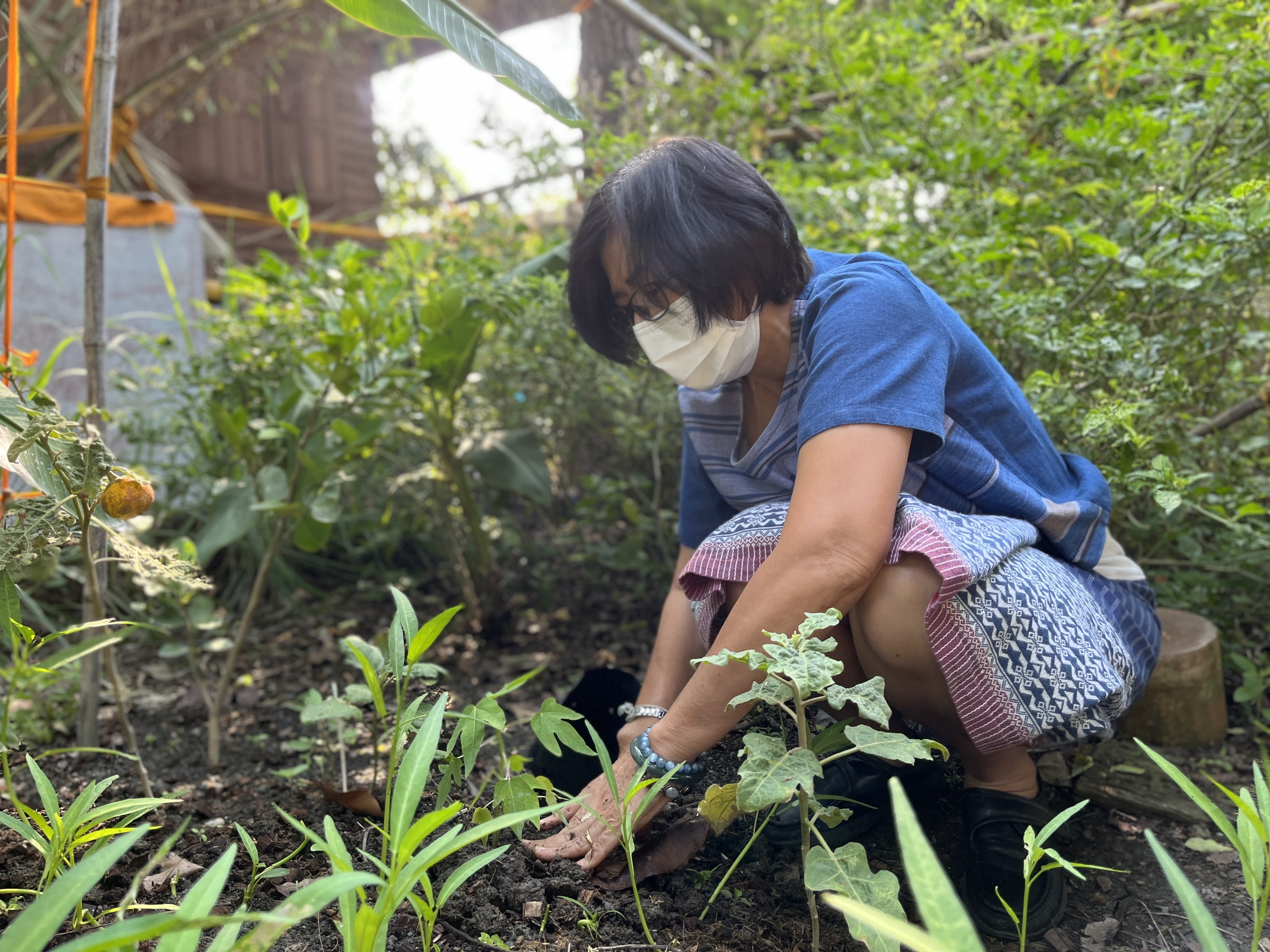 ? ??? พช.สมุทรสาคร สานพลังภาคีเครือข่าย “บวร” เดินหน้าจัดกิจกรรม “เอามื้อสามัคคี พื้นที่ว่างสร้างอาหาร”? ??? วันที่ 28 กุมภาพันธ์ 2566 เวลา 09.00 น. ภายใต้การกำกับดูแลของนายณรงค์ รักร้อย ผู้ว่าราชการจังหวัดสมุทรสาคร นางศลิษา ม่วงใหม่ พัฒนาการจังหวัดสมุทรสาคร พร้อมด้วย นางสาวเมธิดา หิรัญบูรณะ พัฒนาการอำเภอบ้านแพ้ว และเจ้าหน้าที่พัฒนาชุมชน ดำเนินกิจกรรมเอามื้อสามัคคีร่วมกันปลูกผักสวนครัวในบริเวณวัดประทุมทองรัตนาราม ประกอบด้วย ต้นมัลเบอร์รี่ ต้นขี้เหล็ก ต้นแค มะเขือ พริกขี้หนูสวน พริกกะเหรี่ยง มะละกอ และชะอม ต่อยอดกิจกรรมพื้นที่ว่างสร้างอาหาร พร้อมทั้งถวายเมล็ดพันธุ์ผักสวนครัวแด่เจ้าอาวาสวัดประทุมทองรัตนาราม  เพื่อเป็นการน้อมนำแนวพระราชดำริของสมเด็จพระกนิษฐาธิราชเจ้า กรมสมเด็จพระเทพรัตนราชสุดาฯ สยามบรมราชกุมารี สร้างความมั่นคงทางอาหาร สู่ปฏิบัติการปลูกผักสวนครัวเพื่อสร้างความมั่นคงทางอาหาร ประจำปีงบประมาณ พ.ศ. 2566 โดยได้รับความร่วมมือจากภาคีเครือข่ายการพัฒนาในพื้นที่ประกอบด้วย ผู้นำชุมชน รวมถึงประชาชนในพื้นที่ร่วมกิจกรรม ณ วัดประทุมทองรัตนาราม หมู่ที่ 2 ตำบลหนองสองห้อง อำเภอบ้านแพ้ว จังหวัดสมุทรสาคร
