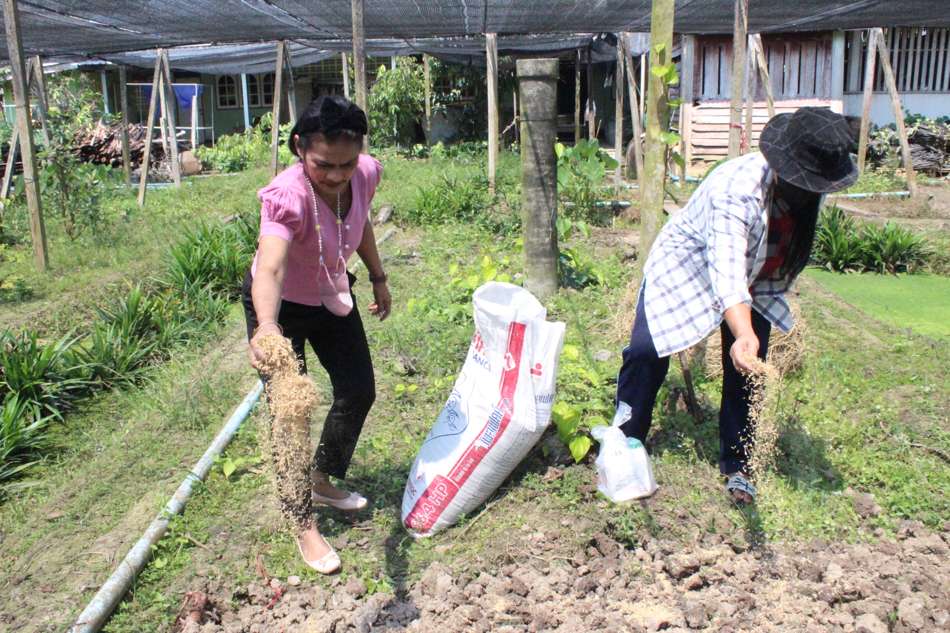 ? ??? พช.สมุทรสาคร สานพลังภาคีเครือข่ายเดินหน้าจัดกิจกรรม “เอามื้อสามัคคี พื้นที่ว่างสร้างอาหาร” และปลูกฝัง “ทักษะวิถีชีวิตใหม่ เยาวชนไทยสร้างอาหารเป็น”???? วันที่ 28 กุมภาพันธ์ 2566 เวลา 13.00 น. ภายใต้การกำกับดูแลของนายณรงค์ รักร้อย ผู้ว่าราชการจังหวัดสมุทรสาคร นางศลิษา ม่วงใหม่ พัฒนาการจังหวัดสมุทรสาคร พร้อมด้วย นายอรรถพงษ์  สงวนเดือน พัฒนาการอำเภอกระทุ่มแบน และเจ้าหน้าที่พัฒนาชุมชน ดำเนินกิจกรรมเอามื้อสามัคคีร่วมกันปรับปรุงพื้นที่ ทำปุ๋ย ปลูกผักสวนครัวในบริเวณแปลงเกษตรของโรงเรียนบ้านท้องคุ้ง ประกอบด้วย ต้นโหระพา คะน้า ผักชี กะเพรา พริกขี้หนู แมงลัก และกวางตุ้ง ต่อยอดกิจกรรมพื้นที่ว่างสร้างอาหาร พร้อมทั้งมอบเมล็ดพันธุ์ผักสวนครัวให้แก่ นายประศาสน์ เยี่ยมสวัสดิ์ ผู้ใหญ่บ้านหมู่ 6 เพื่อเป็นการน้อมนำแนวพระราชดำริของสมเด็จพระกนิษฐาธิราชเจ้า กรมสมเด็จพระเทพรัตนราชสุดาฯ สยามบรมราชกุมารี เพื่อสร้างความมั่นคงทางอาหาร ประจำปีงบประมาณ พ.ศ. 2566 โดยได้รับความร่วมมือจากภาคีเครือข่ายการพัฒนาในพื้นที่ประกอบด้วย ผู้นำชุมชน ครูและนักเรียนโรงเรียนบ้านท้องคุ้ง ร่วมกิจกรรมซึ่งเป็นการปลูกฝังให้มี “ทักษะวิถีชีวิตใหม่ เยาวชนไทยสร้างอาหารเป็น” พร้อมเติบโตเป็นผู้ใหญ่ที่มีคุณภาพต่อไปในอนาคต ณ แปลงเกษตรของโรงเรียนบ้านท้องคุ้ง หมู่ 6 ตำบลท่าเสา อำเภอกระทุ่มแบน จังหวัดสมุทรสาคร
