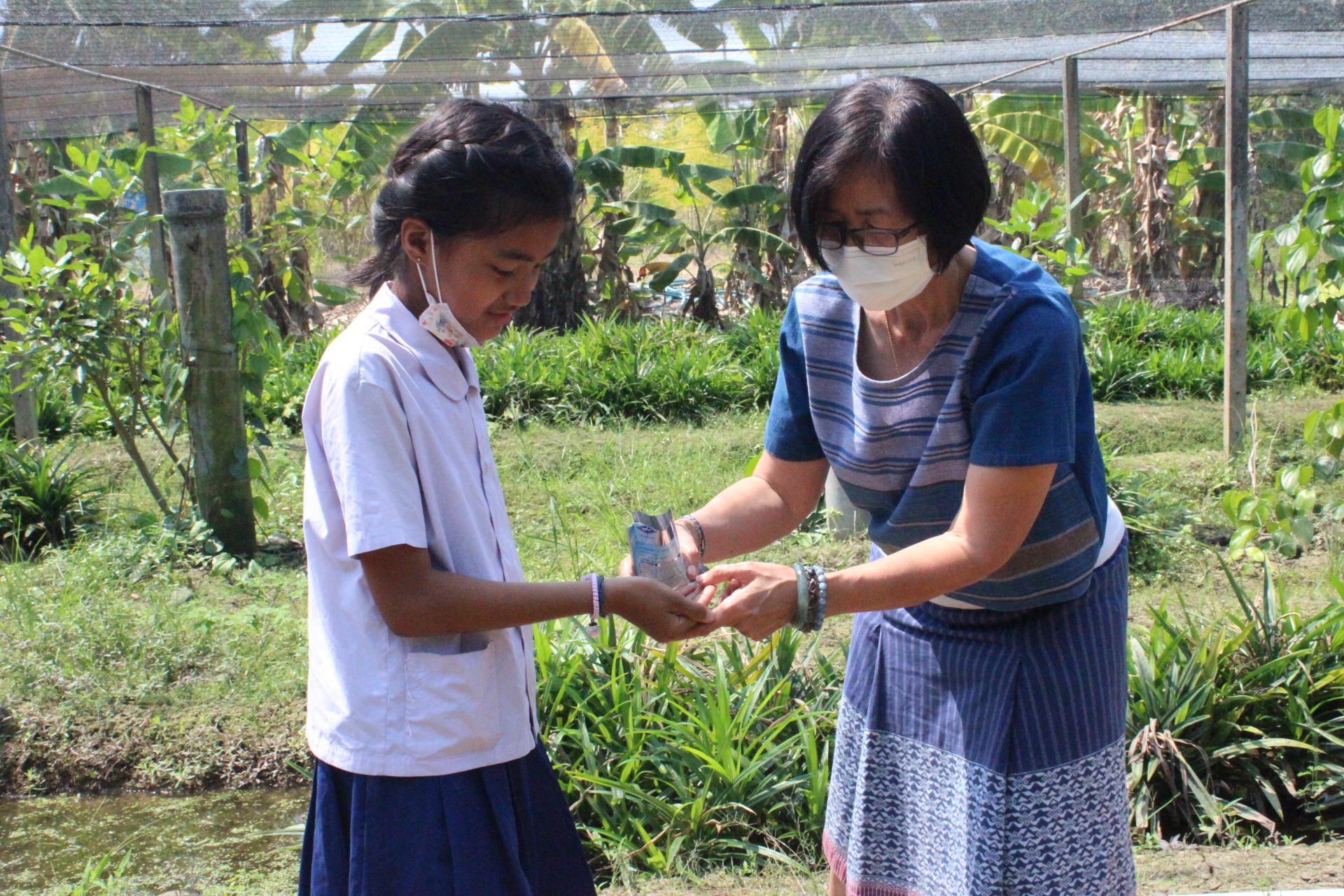 ? ??? พช.สมุทรสาคร สานพลังภาคีเครือข่ายเดินหน้าจัดกิจกรรม “เอามื้อสามัคคี พื้นที่ว่างสร้างอาหาร” และปลูกฝัง “ทักษะวิถีชีวิตใหม่ เยาวชนไทยสร้างอาหารเป็น”???? วันที่ 28 กุมภาพันธ์ 2566 เวลา 13.00 น. ภายใต้การกำกับดูแลของนายณรงค์ รักร้อย ผู้ว่าราชการจังหวัดสมุทรสาคร นางศลิษา ม่วงใหม่ พัฒนาการจังหวัดสมุทรสาคร พร้อมด้วย นายอรรถพงษ์  สงวนเดือน พัฒนาการอำเภอกระทุ่มแบน และเจ้าหน้าที่พัฒนาชุมชน ดำเนินกิจกรรมเอามื้อสามัคคีร่วมกันปรับปรุงพื้นที่ ทำปุ๋ย ปลูกผักสวนครัวในบริเวณแปลงเกษตรของโรงเรียนบ้านท้องคุ้ง ประกอบด้วย ต้นโหระพา คะน้า ผักชี กะเพรา พริกขี้หนู แมงลัก และกวางตุ้ง ต่อยอดกิจกรรมพื้นที่ว่างสร้างอาหาร พร้อมทั้งมอบเมล็ดพันธุ์ผักสวนครัวให้แก่ นายประศาสน์ เยี่ยมสวัสดิ์ ผู้ใหญ่บ้านหมู่ 6 เพื่อเป็นการน้อมนำแนวพระราชดำริของสมเด็จพระกนิษฐาธิราชเจ้า กรมสมเด็จพระเทพรัตนราชสุดาฯ สยามบรมราชกุมารี เพื่อสร้างความมั่นคงทางอาหาร ประจำปีงบประมาณ พ.ศ. 2566 โดยได้รับความร่วมมือจากภาคีเครือข่ายการพัฒนาในพื้นที่ประกอบด้วย ผู้นำชุมชน ครูและนักเรียนโรงเรียนบ้านท้องคุ้ง ร่วมกิจกรรมซึ่งเป็นการปลูกฝังให้มี “ทักษะวิถีชีวิตใหม่ เยาวชนไทยสร้างอาหารเป็น” พร้อมเติบโตเป็นผู้ใหญ่ที่มีคุณภาพต่อไปในอนาคต ณ แปลงเกษตรของโรงเรียนบ้านท้องคุ้ง หมู่ 6 ตำบลท่าเสา อำเภอกระทุ่มแบน จังหวัดสมุทรสาคร